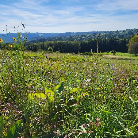 B&B Le Pre De Regine Et Joseph 3*