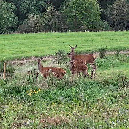 Le Pre De Regine Et Joseph 말메디